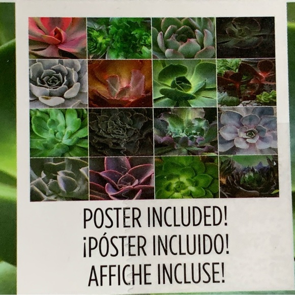 🧩USED 1000 pc puzzle 🧩 - Picture 3 of 4